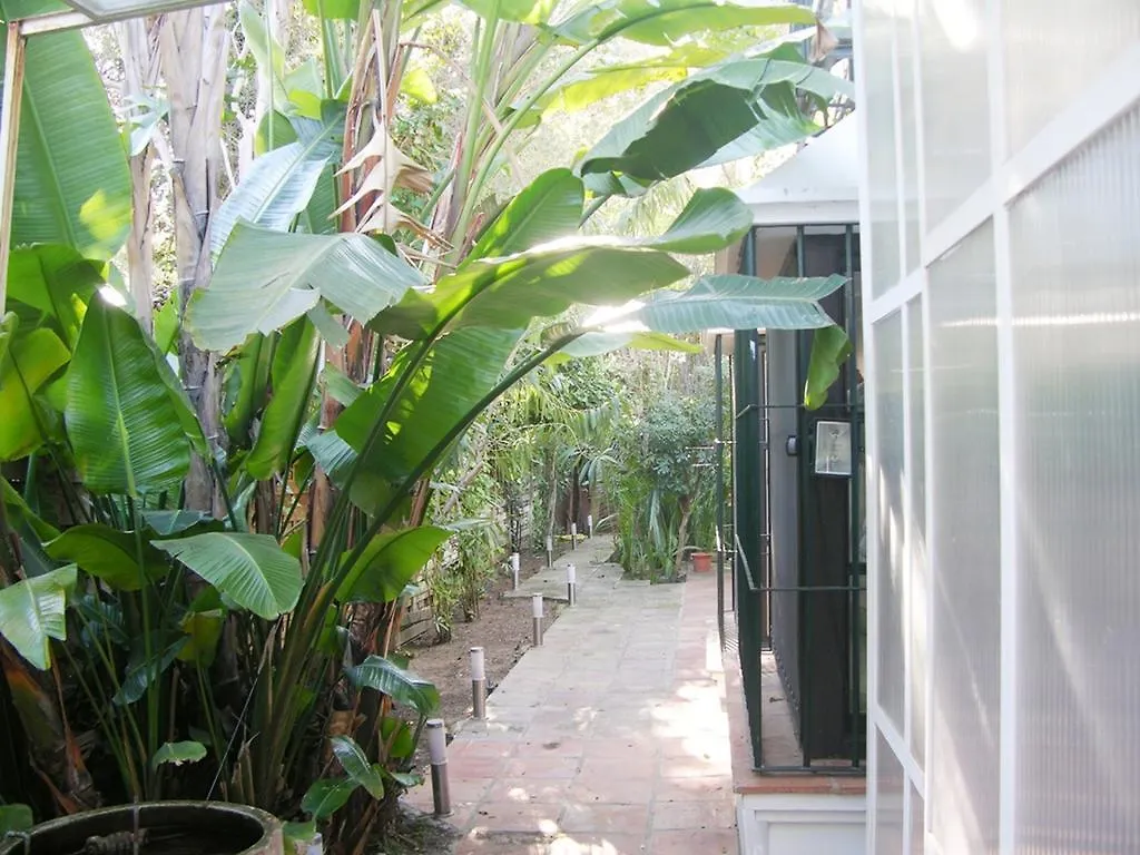 Casa Los Olivillos Hotel Marbella